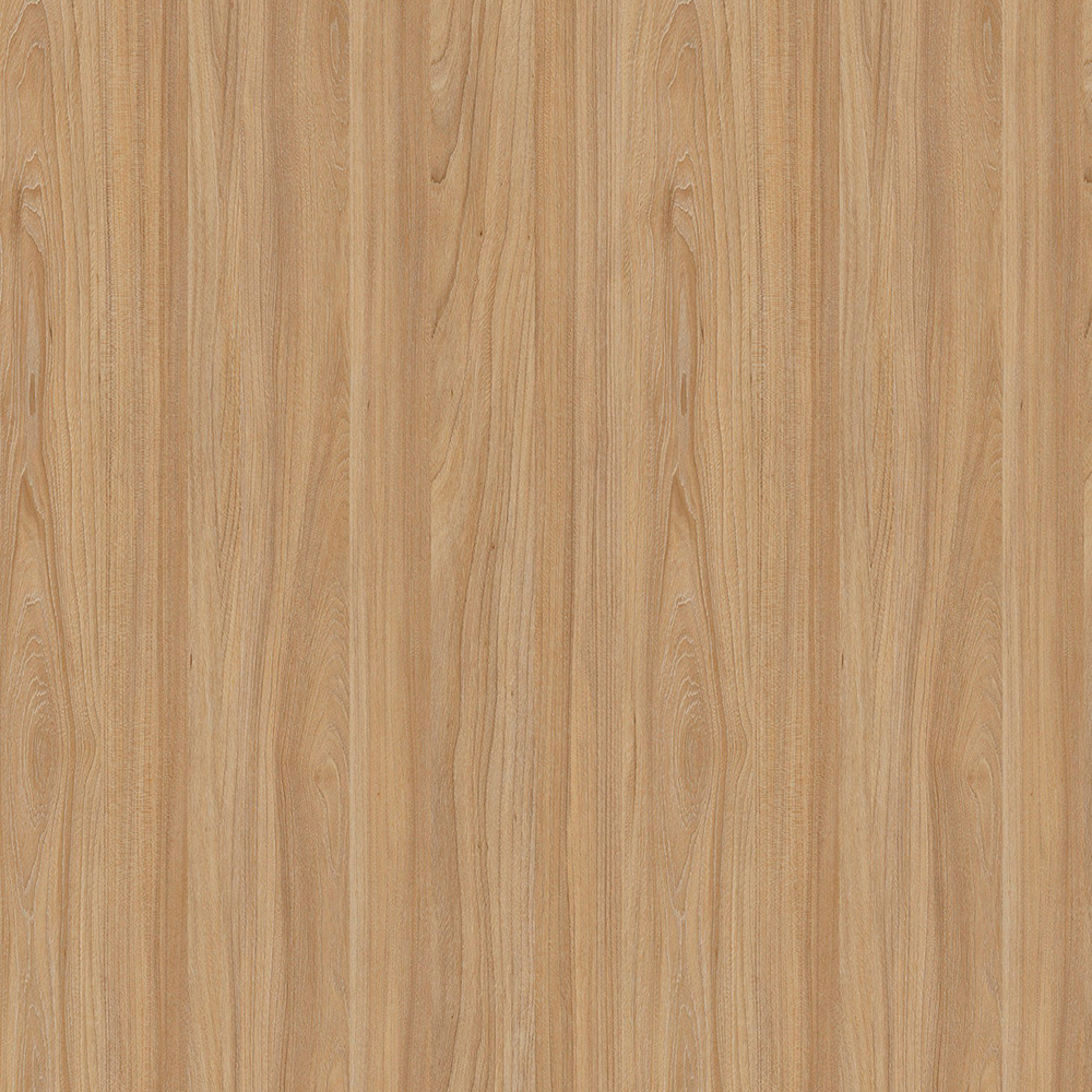 SLTCASM4565-8MM.png
